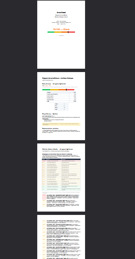 Exemple de rapport SmartSeek — Surface d'attaque